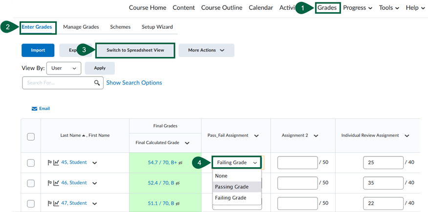 How to Create a Custom Pass/Fail Item (Other than 50%)